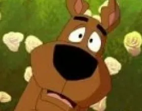 Velma's Sucking Off